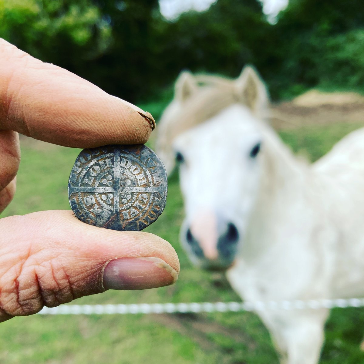 foundbysound's tweet image. Find of the day today, Edward III silver hammered half groat circa 1351-61. DeepTech Vista X. Lilly the horse found it all rather interesting 🐴