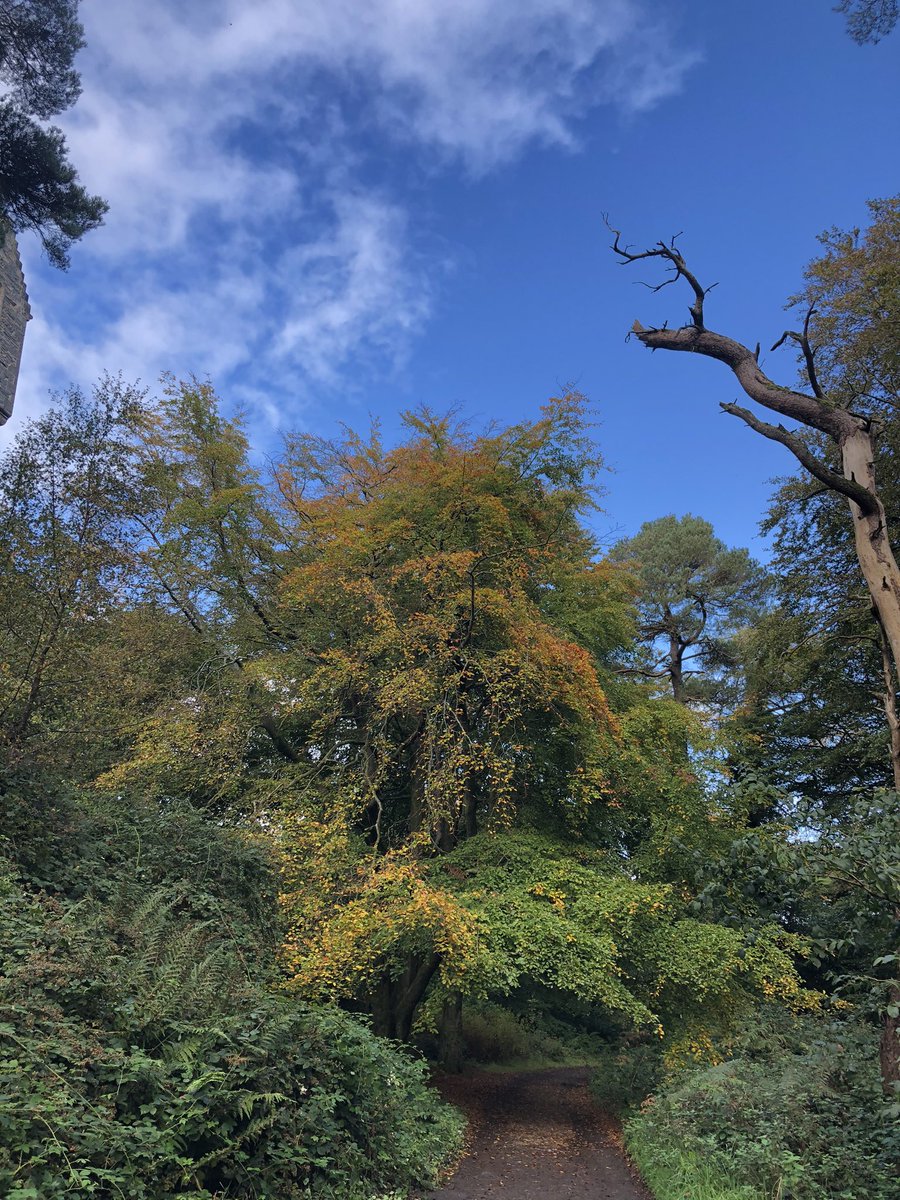 SummerRh73's tweet photo. #Autumn #helenstower #bangor co.down https://t.co/ZNOolJckkI