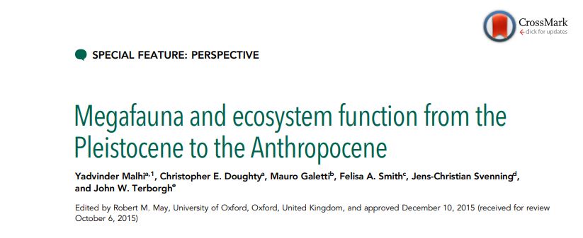 1/ An exploration into the role of megafauna, ecosystem functioning and  #rewilding is the topic of  #rewildingscience today. Can we learn from the Pleistocene to influence today’s world for the better?