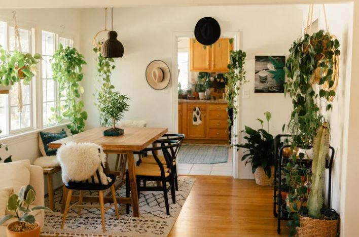 Blackline_Reno's tweet photo. 12 Beautiful Trailing Plants to Add to Your Collection:  https://t.co/RuQbTl1xZ8 https://t.co/4hPJ271vWC