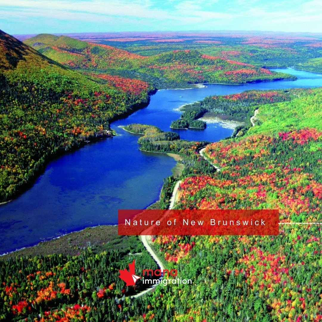 CACA
---
Nature of New Brunswick
.
.
.
#mana #manaimmigration #canada #immigratetocanada #traveltocanada #canadavisa #liveincanada #studyvisa #educationincanada #lifeincanada #canadalife #canadauniversities #studentsincanada #canadaschools #studentlifeincanada #visa