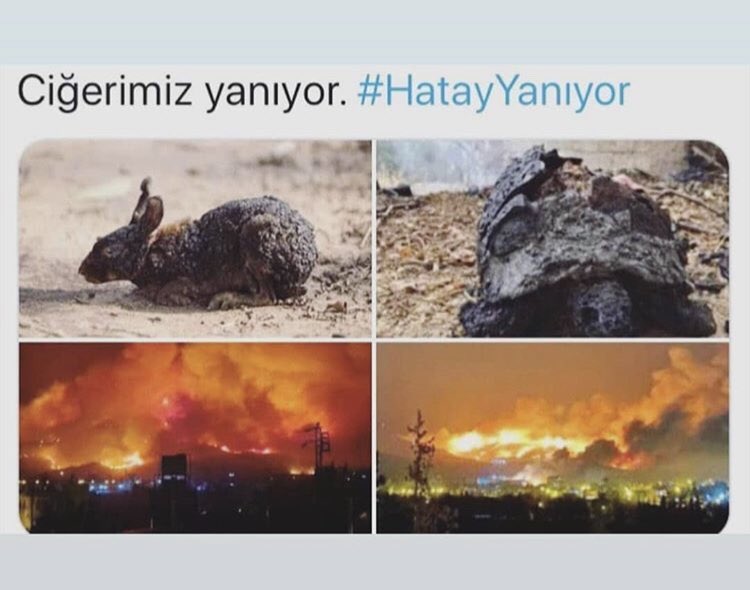 Bu acıya sebep olanlar, nefes aldığınız her gün öyle acı çekin ki, ölmek için yalvarın ama ölemeyin! 😡 #hatayyaniyor