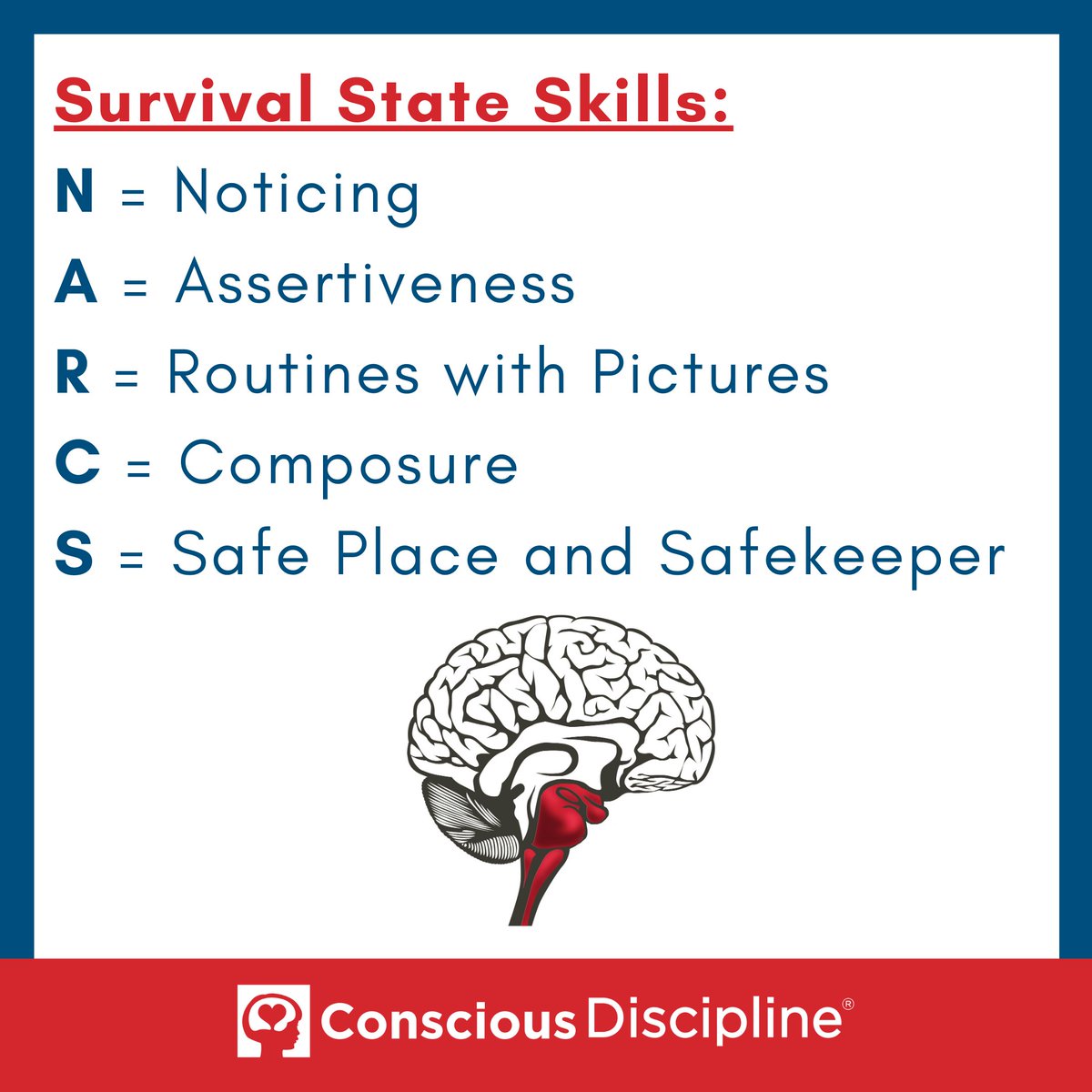 ConsciousD's tweet image. Continuing our series on the five skills that soothe the Survival State outlined in the acronym NARCS, this week we will focus on the Safekeeper Job and Ritual. Learn more about the Safekeeper job description below, and join us this week for more Safekeeper tips, posts &amp;amp; videos.