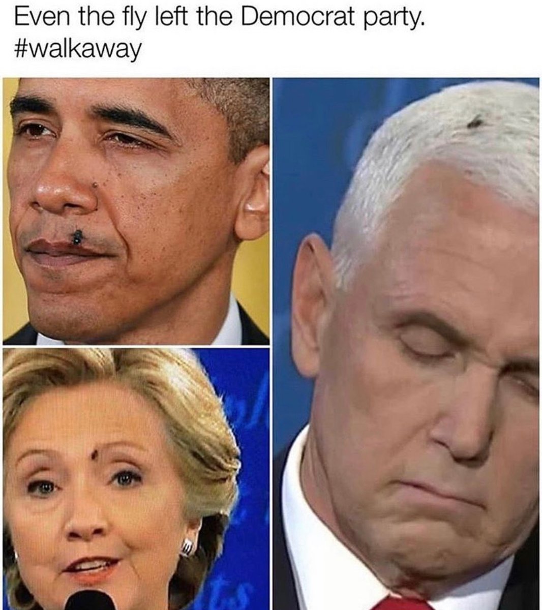 CloydRivers's tweet photo. Merica. https://t.co/4cXN7JzTFF