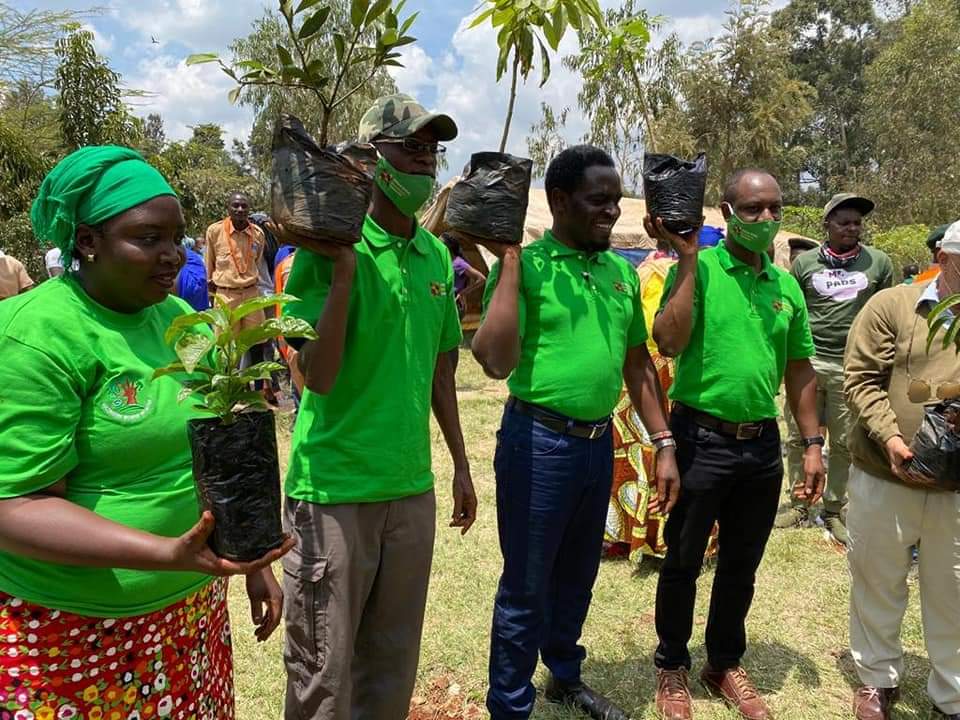Mp_Kibra's tweet photo. Growing trees in Kibra to ensure 10% tree cover. 500,000 fruits and 1 billion trees. We did a 1000 today kudos team @jmueke @NelsonHavi @UGMParty @jasudan https://t.co/o5Yqo6xqOx