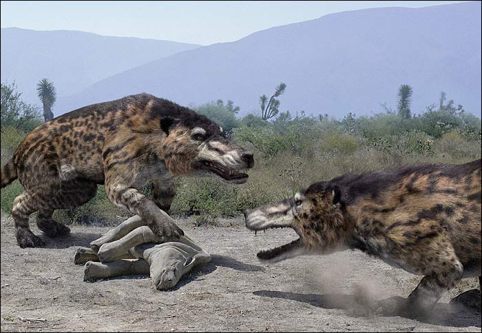 During the making of Walking with Beasts, Andrewsarchus was considered a mesonychid, a somewhat wolfy-proportioned carnivore with hooves, hence the HUGE body size it was given in reconstruction. But all we have is a single skull, and no postcranial material.