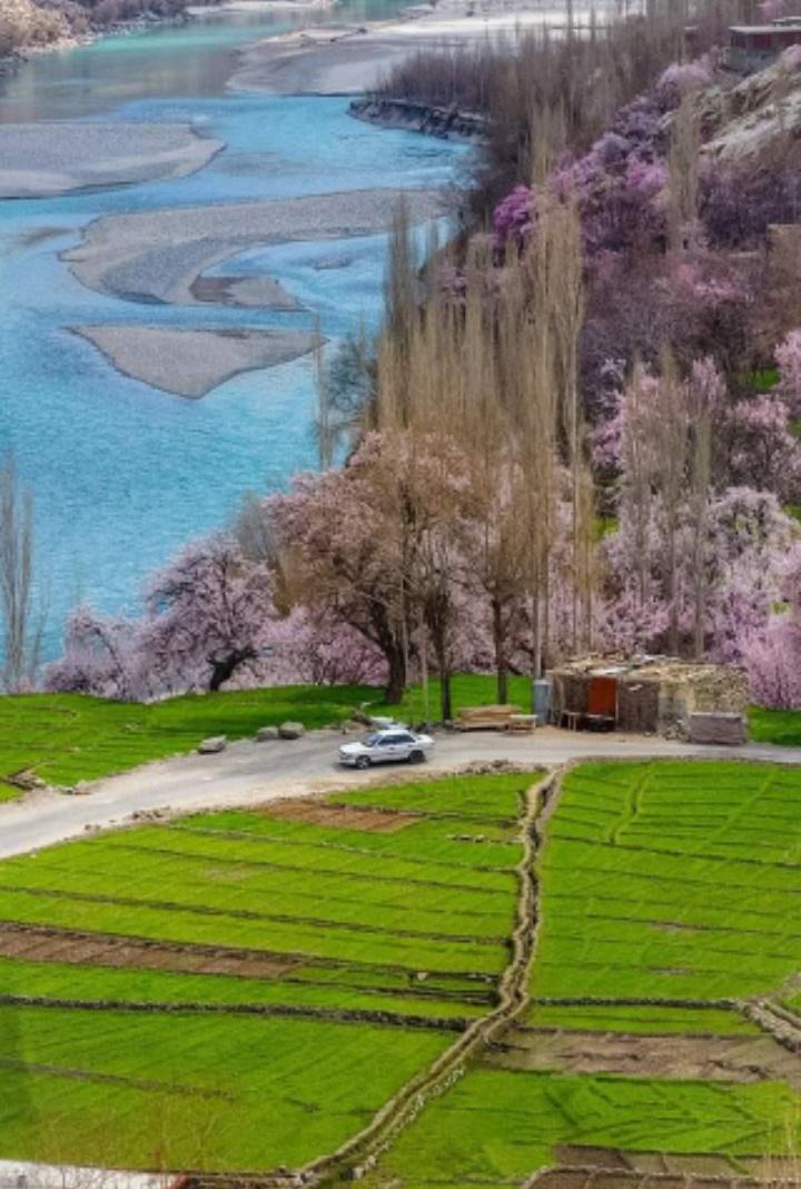 Rooshi710's tweet photo. مہدی آباد ویلی، کھرمنگ، گلگت بلدستان۔۔۔🌿🚙
The scenic Mehdiabad Valley of Kharmang, Gilgit-Baltistan 💕
The #Kharmang Valley (وادی کھرمنگ) is one of five main valleys in the #Gilgit region of #Pakistan district in 2015, with temporary headquarters at #Tolti.
@sandhu_hamid https://t.co/kMPWDTrdm4