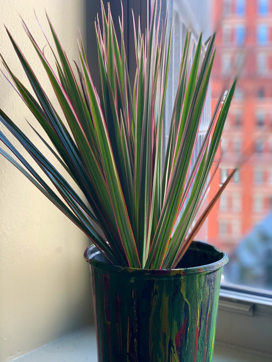 And now my plants have another new friend!
