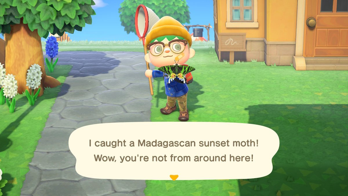 StereoSpoon's tweet image. #AnimalCrossing #ACNH #NintendoSwitch