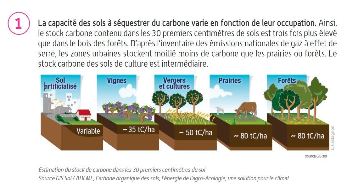 On voit donc effectivement que sur la figure de l'Ademe qui prend les 30 premiers centimètres on est presque bon pour les forêts (se rappeler du profil) avec 80 tC/ha au lieu de 100 tC/ha, mais plus loin du compte pour les prairies (80 tC/ha au lieu de 100 à 200 voire 400 tC/ha)