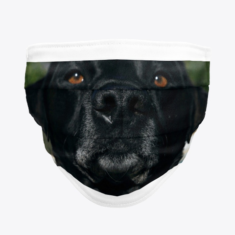 percythelabrad1's tweet photo. Let me help protect you against #COVID19
Check out Percy the Labrador Face Mask! Available via @Teespring: https://t.co/n31wLoJYer 
#covid #dogs #lovelabradors #labradors #coronavirus #dogsoftwitter #dogsdoingthings https://t.co/BsmMQcFGgu