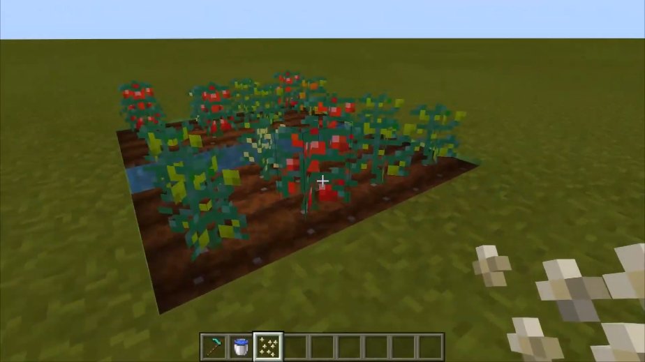 Saziumr En Twitter Minecraft Beでは 今後のアップデートでブロックやアイテムを新たに追加できるアドオンのサポートを行うとのことです 画像は一例で トマトを追加したようです かなり細かい処理ができるようです Minecraftlive