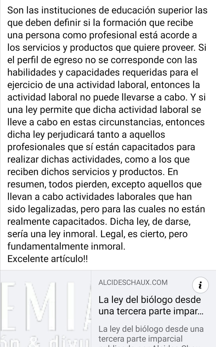 AuriAmarilla tweet media