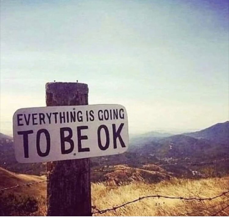 Michael J. Wheeler tweet media