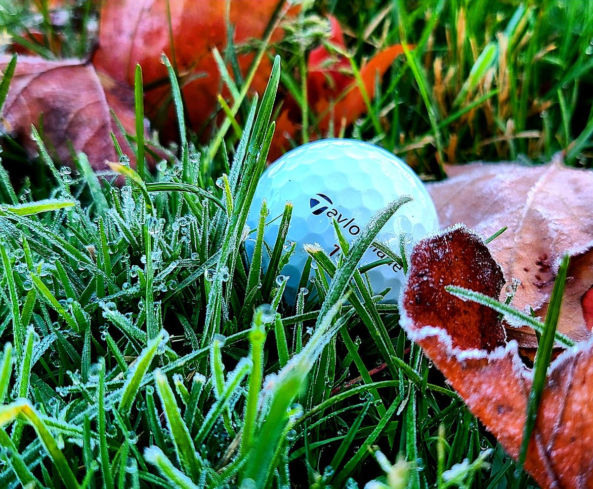 Mattkt_Turf tweet media