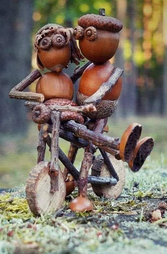 A amizade duplica as alegrias e divide as tristezas.