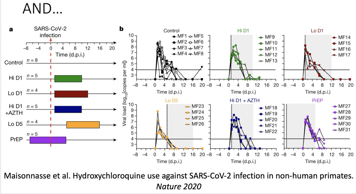 A peu près au même moment paraît un preprint ultérieurement publié dans  @nature également avec des chercheurs de  @IAME_Center :- L'HCQ avec ou sans azithromycine, en prophylaxie, en ttt précoce ou en ttt tardif ne permet aucune diminution de la charge virale chez des macaques