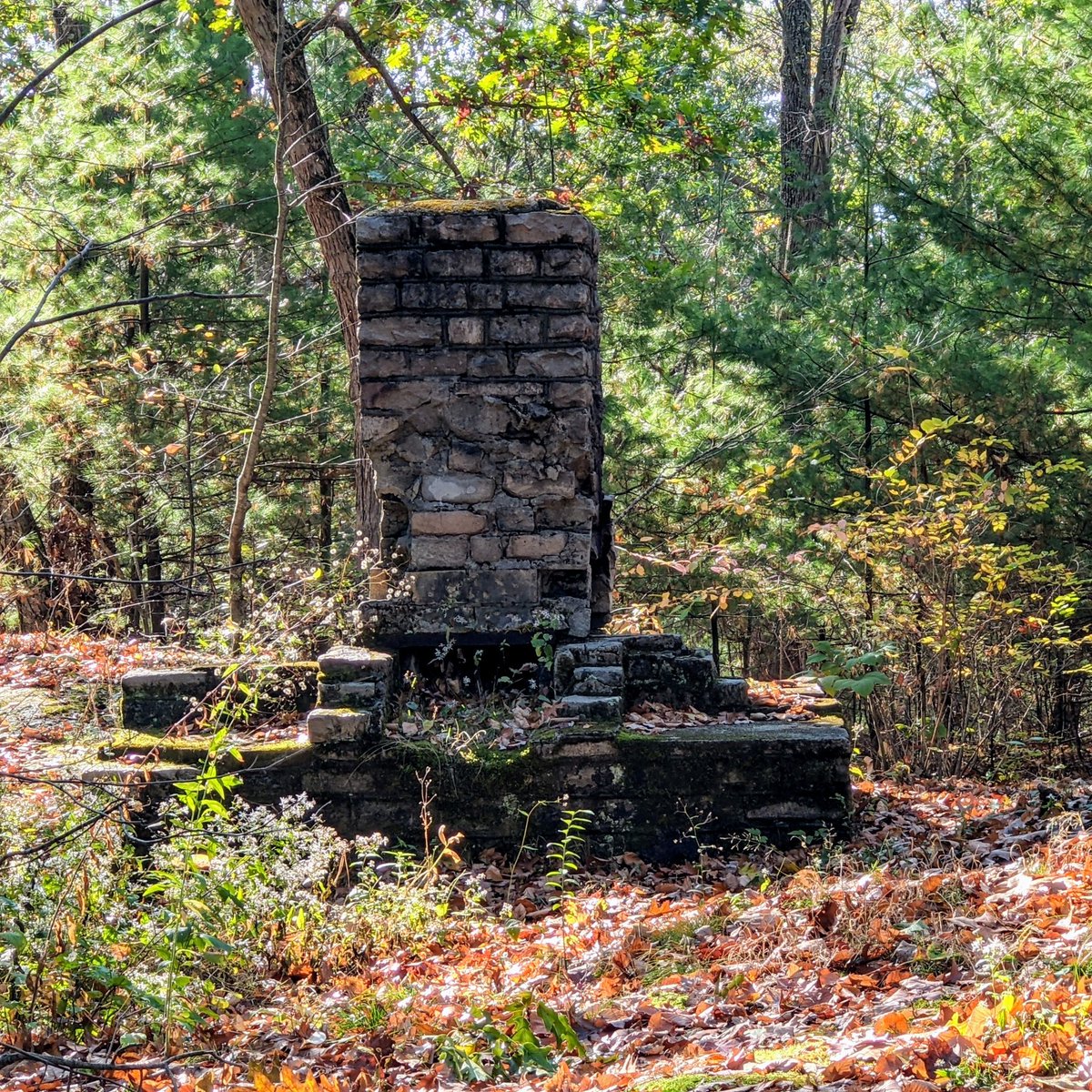 About halfway round the trail loop was the remains of a house. Nothing standing but the chimney and hearth.