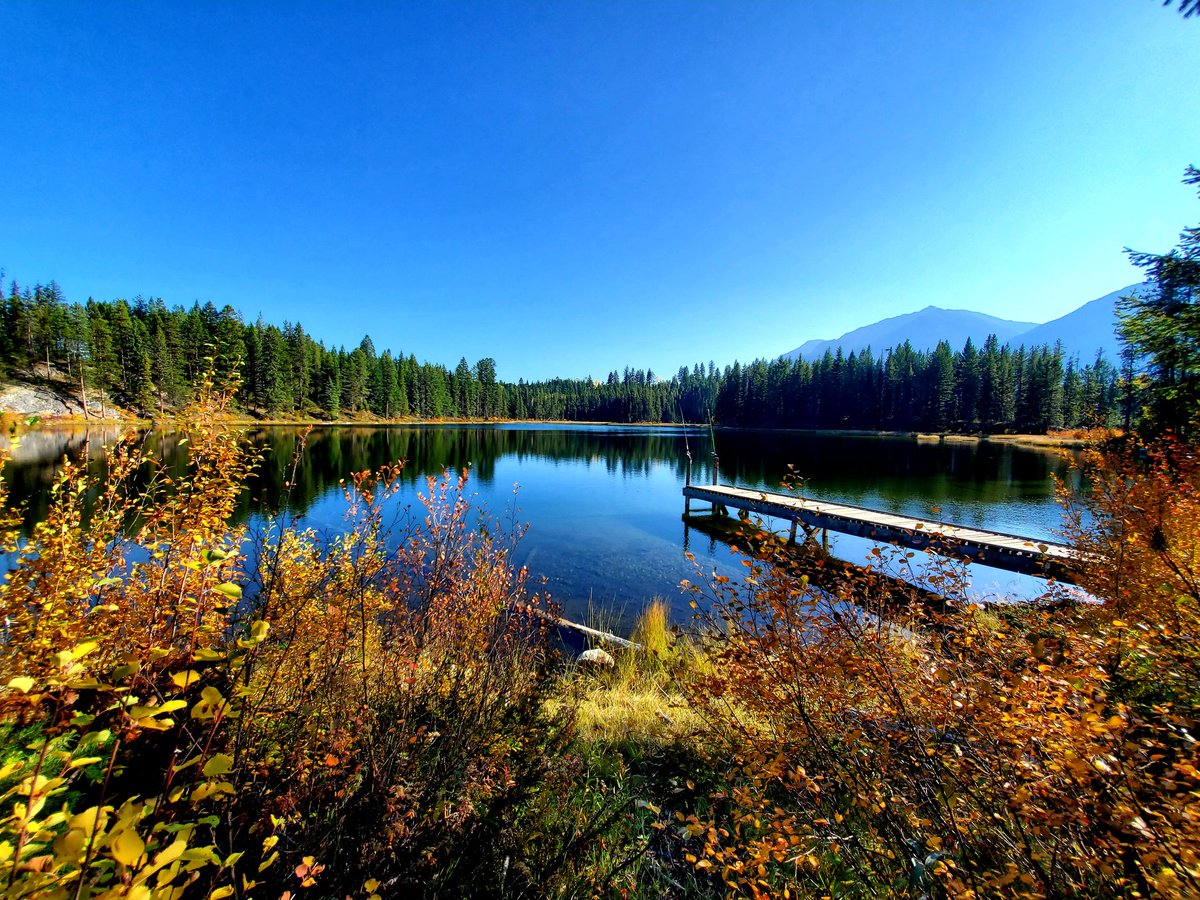 kashkit tweet picture