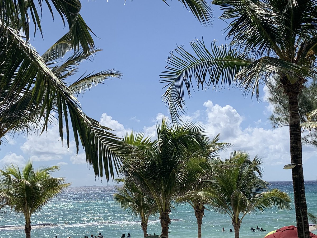 Ambercella's tweet photo. Really miss this place!  Can’t wait to go again soon! https://t.co/RhaLl3rHxb