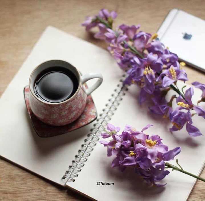 77_worood's tweet photo. مساء الأمتنان لكل الأشياء البسيطة اللـي تمنحنا شعورًا أفضل ..🦋🌺🌹 https://t.co/TdKLGKYL7Z