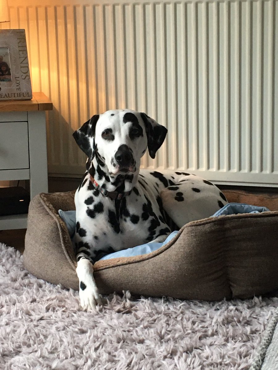 Joseph Gallogly tweet media