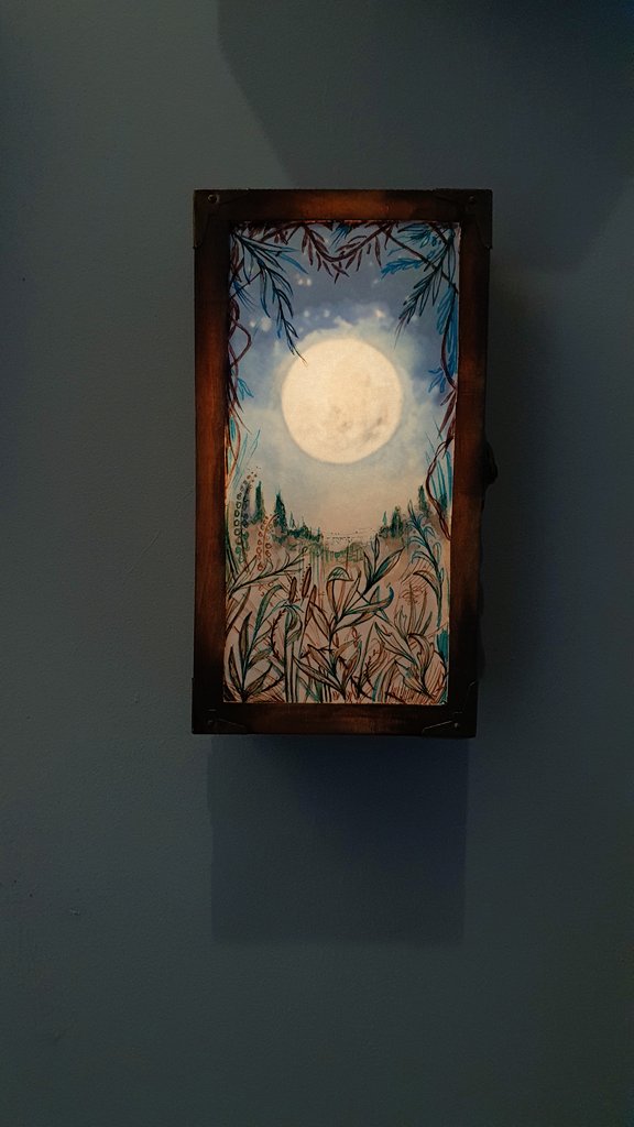 Lightboxes.. now showing at <a href="/_arthubgallery/">Art Hub Gallery</a> and available from carnegriffiths.com