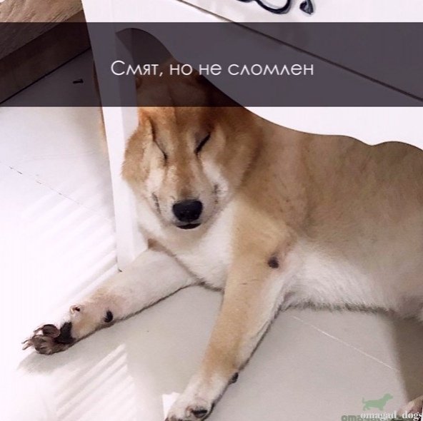 Енто я🌚