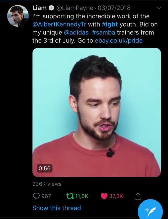 Liam Payne joins to help fight LGBT+ Youth Homelessness