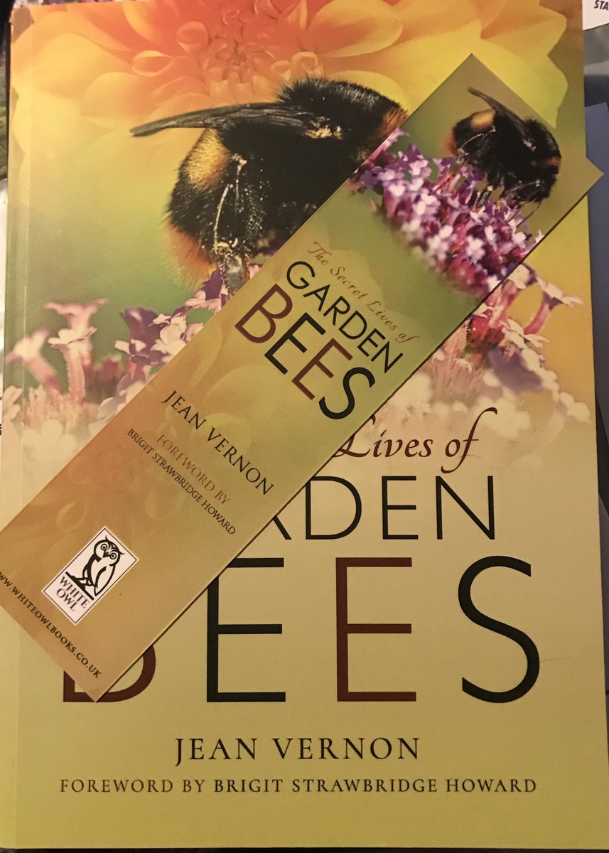So lovely to have proper #bookmarks for my #bee book. If you are looking for the perfect #gift for someone who loves #bees, please consider an #author signed #firstedition of #TheSecretLivesofGardenBees. Just £15 plus p&amp;p from my website. addictedtobees.com Thank you 🐝💕🐝
