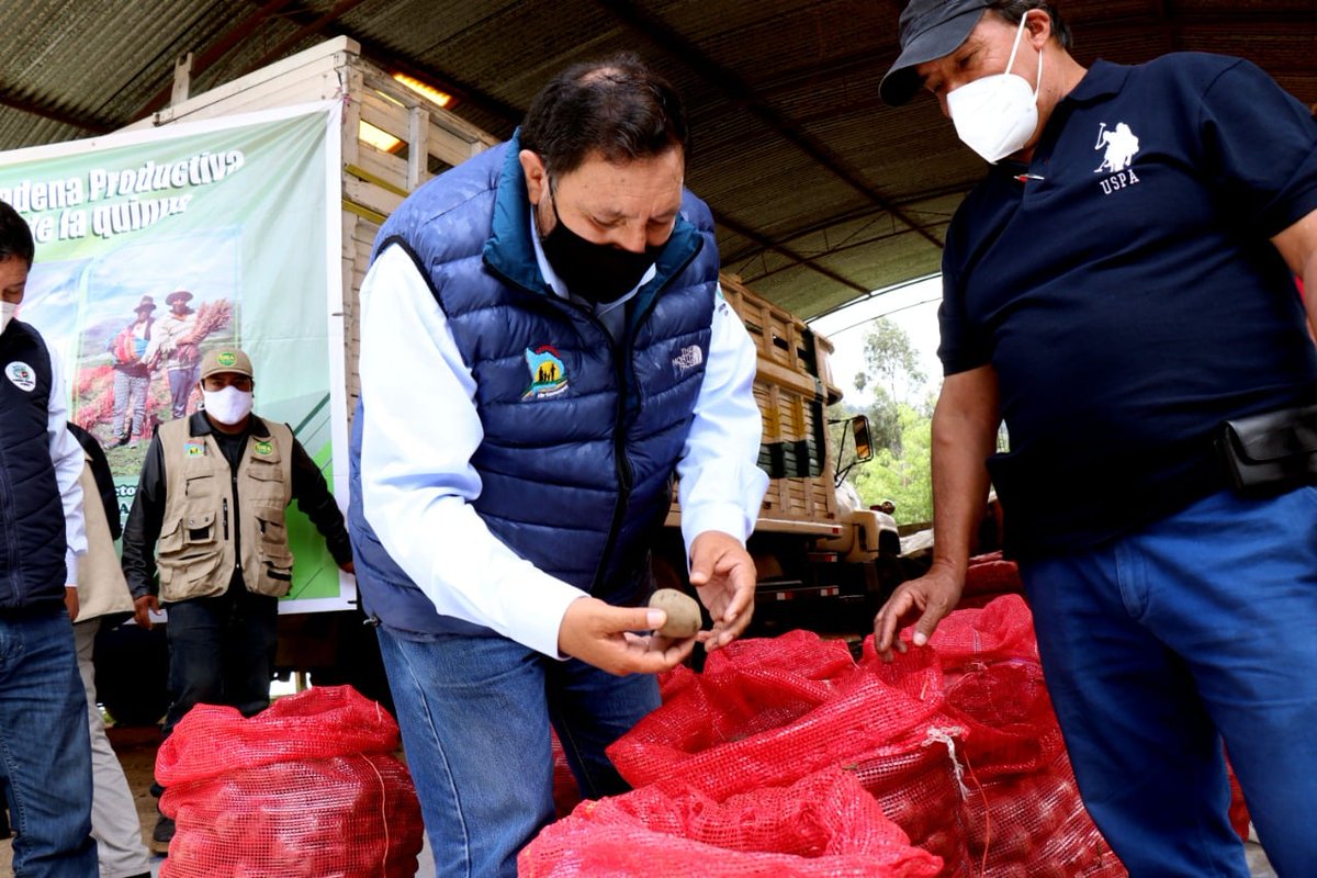 Ayer activamos la recepción de 30 mil kilos de semilla de papa nativa y mejorada procedente de Andahuaylas, esto para los agricultores de la región Apurímac.  Se trata de seguridad alimentaria, se trata de derecho a la alimentación saludable.
