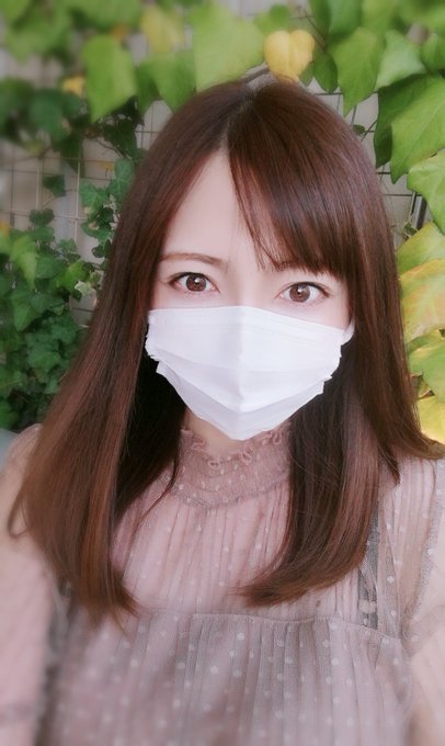 ニコ生 過疎チー牛生主 ぼっとん 福岡旅行配信で美人生主とろみが接待役に 大手が胸を貸す姿にリスナー称賛 ニコ生 ユーチューブライブまとめ