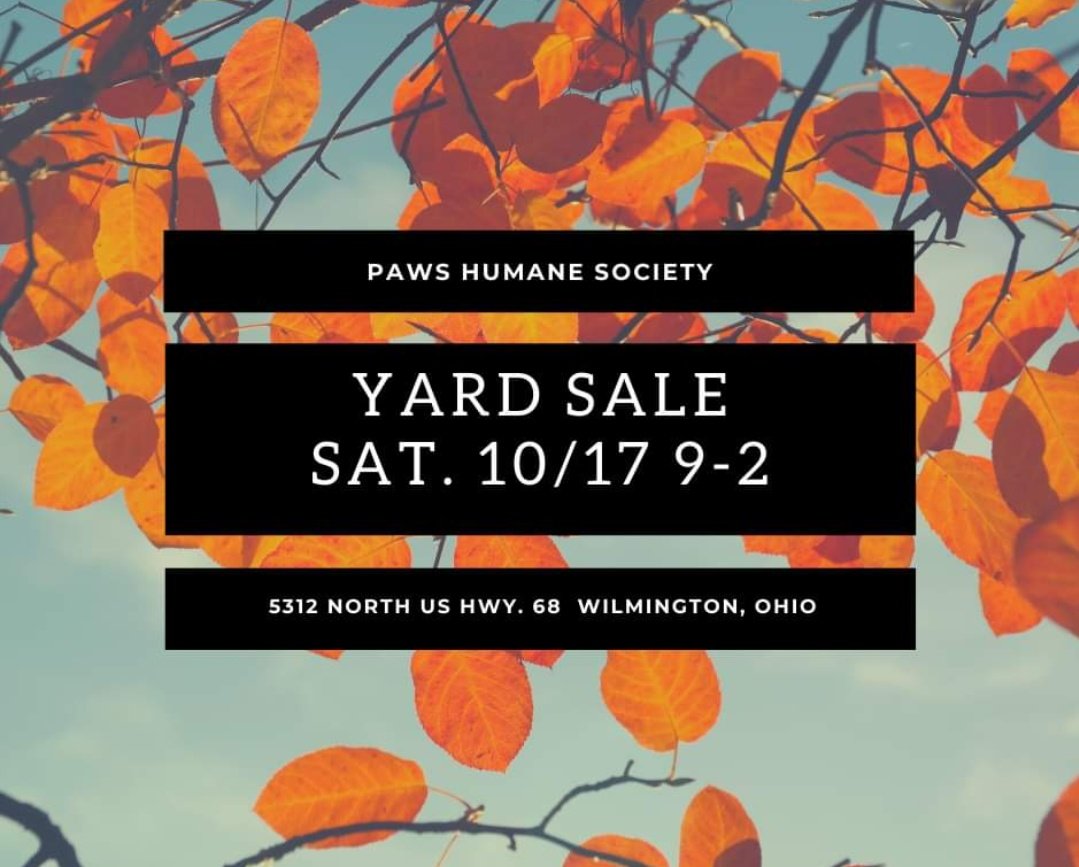 PAWS Humane Society (@paws5312) on Twitter photo 