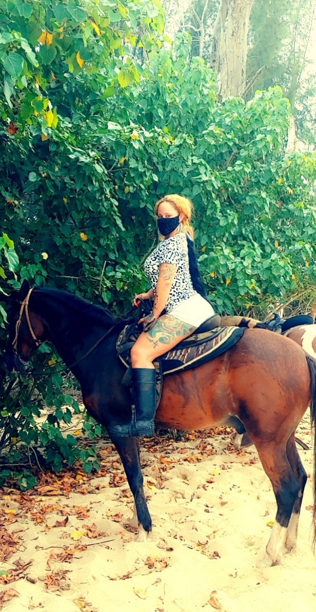 LadyQueen215's tweet photo. Say hello to cylipso🐴🐴🐴 https://t.co/bH7OoQC7mR