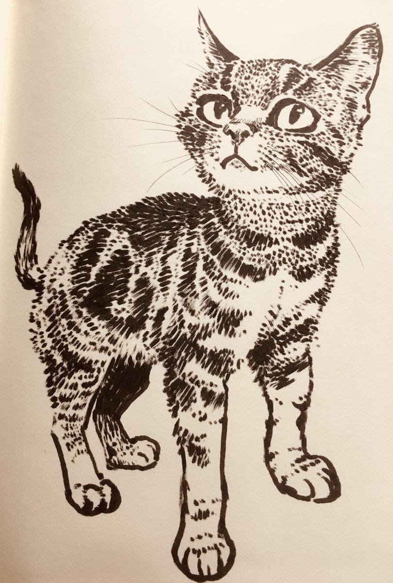 ただただ猫絵と猫漫画を アップしてゆくだけの 
シンプルなアカウントです。

 (=^x^=) ちょっと見ていってくださんせ (=^x^=) 

猫絵のまとめ・その20

#猫絵 #猫イラスト
#イラスト好きさんと繋がりたい
#イラスト #art
#お絵描き好きさんと繋がりたい 