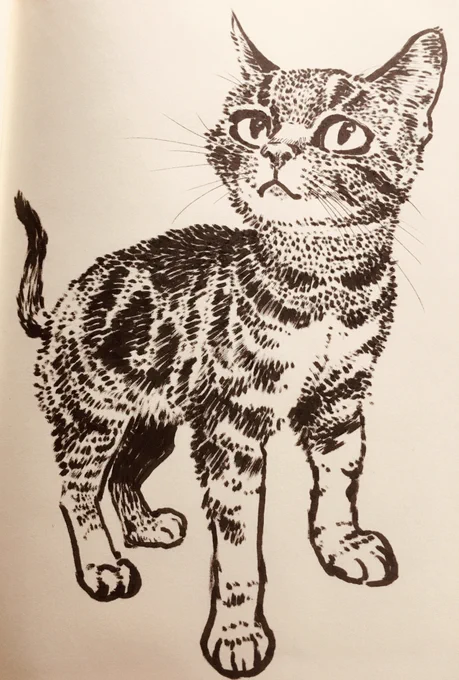 ただただ猫絵と猫漫画を アップしてゆくだけの シンプルなアカウントです。 (=^x^=) ちょっと見ていってくださんせ (=^x^=) 猫絵のまとめ・その20#猫絵 #猫イラスト#イラスト好きさんと繋がりたい#イラスト #art#お絵描き好きさんと繋がりたい 