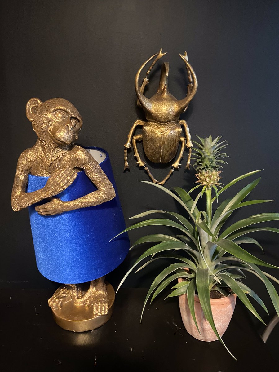 Fun Funky Living tweet media