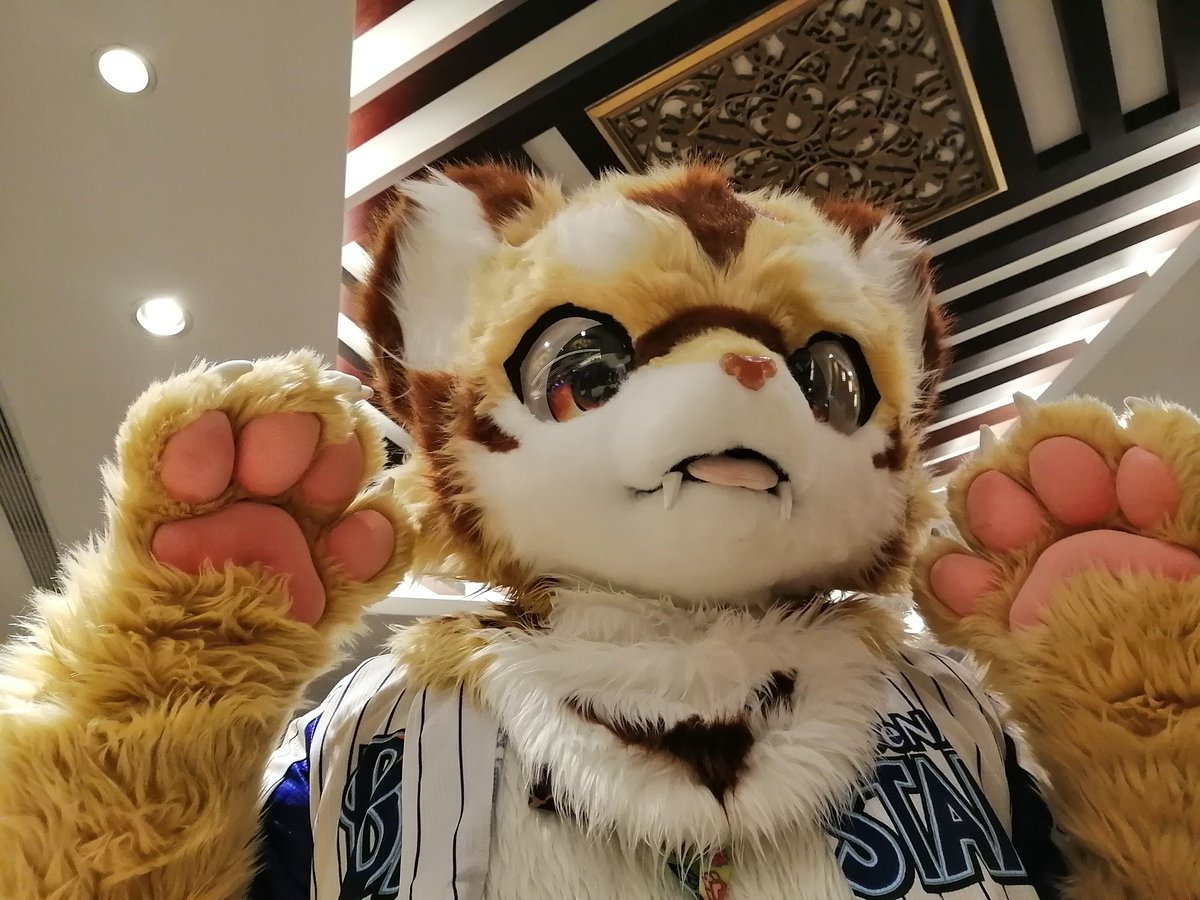 改改o十 Sleep Auf Twitter 是演武虎虎 有点汹汹的