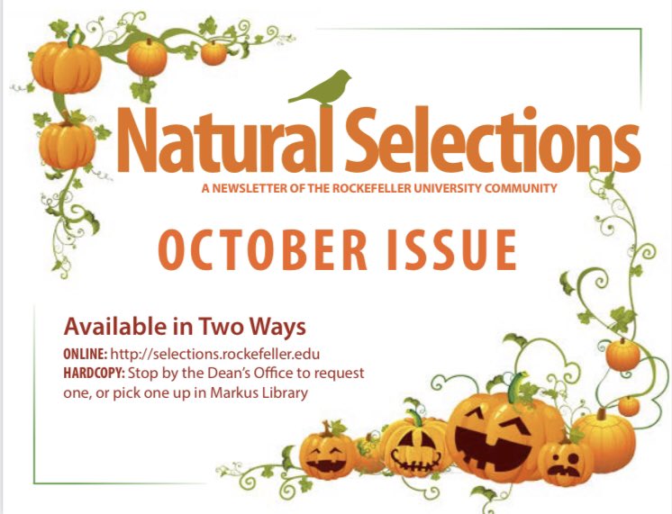 Our October issue is available now! This month we feature a Culture Corner interview with artist Ann Chernow, Three degrees of separation: Hideyo Noguchi and me,  an article on running and resilience, Pets of Tri-I, New York Rhymes, and Natural Expressions
selections.rockefeller.edu/wp-content/upl…