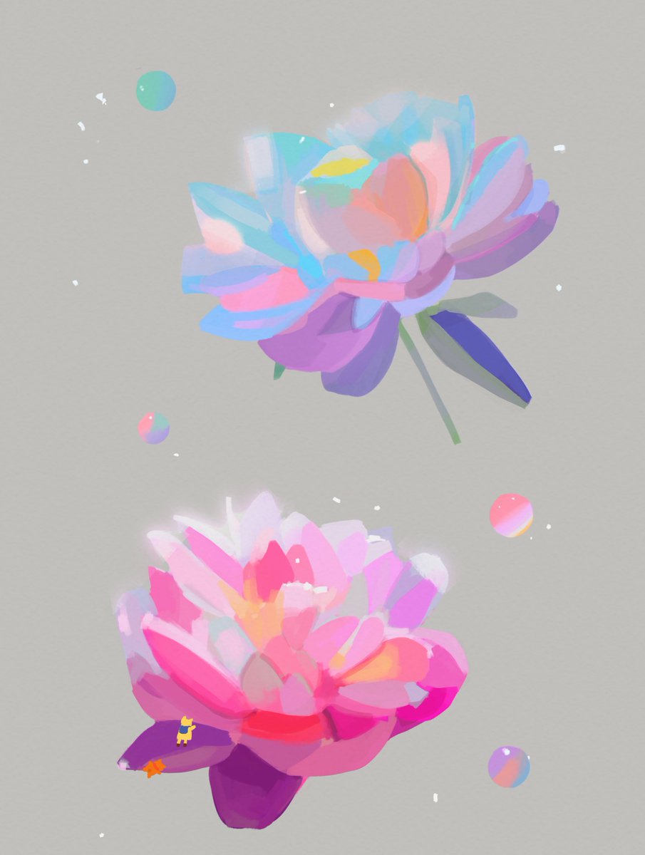 jianghu_e's tweet photo. bloom 🌺 https://t.co/4q0gtcwndk