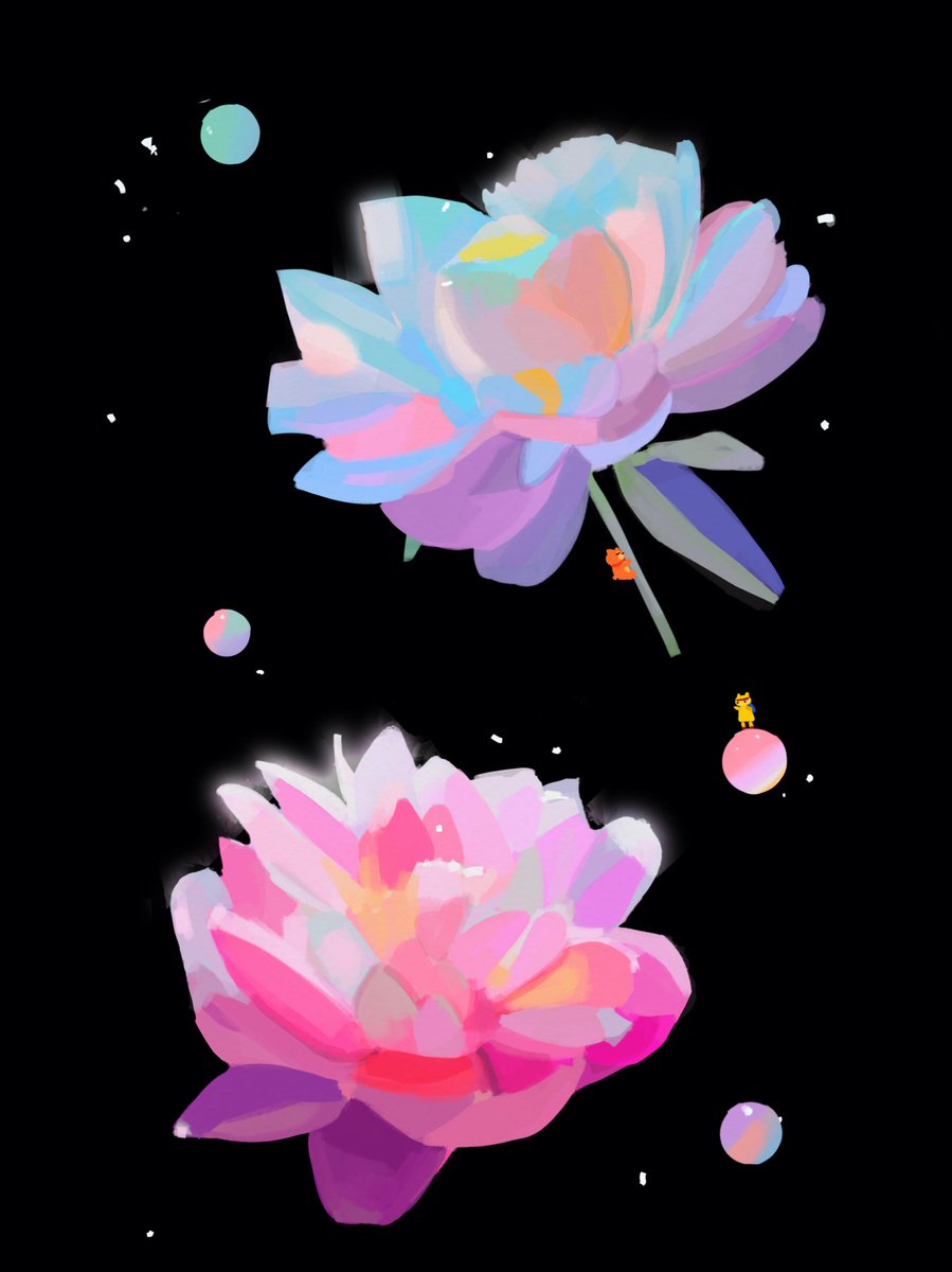 jianghu_e's tweet photo. bloom 🌺 https://t.co/4q0gtcwndk