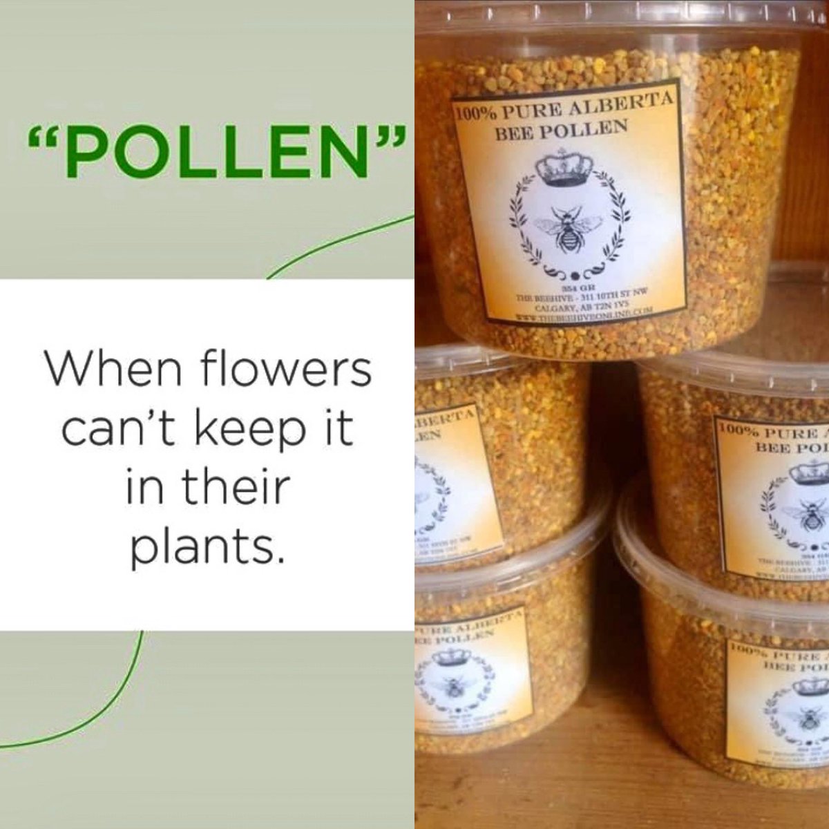 Pollen power! Nature’s multi-vitamin, replete with 96 essential nutrients, straight from our own hives!