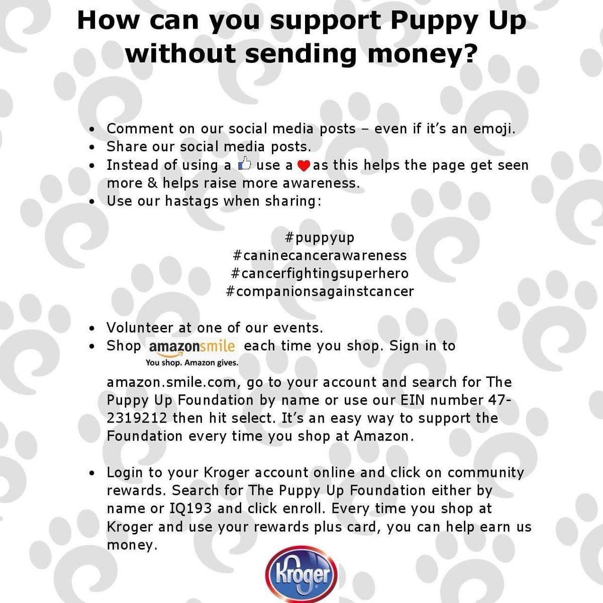 There are lots of ways to help Puppy Up without spending money. Please take a moment to review this list so you can help spread the Puppy Up mission. 

#beacancerfightingsuperherotoday