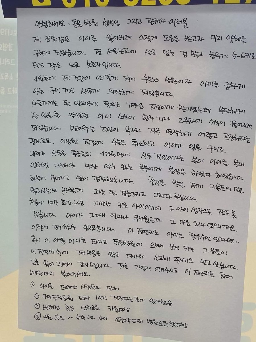 구미 사례금 찬만원 고양이
집사의 건강문제로 사돈지인에게 맡겼으나 집사몰리 인터넷카페로 몰래 분양(또는 유기) 집사는 수술취소후 아이 찾고 있음