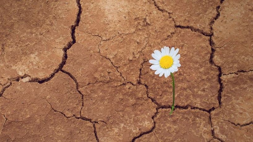 "Never doubt that a small group of thoughtful, committed people can change the world. Indeed, it is the only thing that ever has." Margaret Mead #Resiliency  #WellBeing