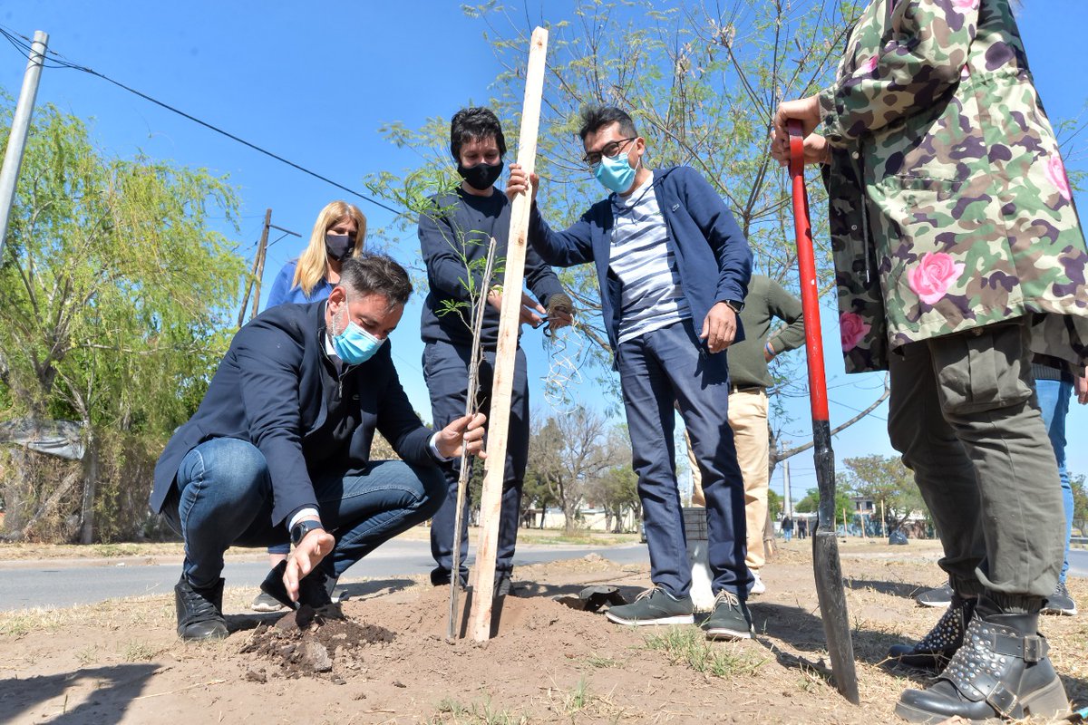 miguelsiciliano's tweet photo. ▶️ Desde la #UEZS, junto con @AmbienteMuniCba y @CPCMuniCba realizamos una nueva jornada de forestación en la zona sur de la ciudad.

✅ Plantamos árboles en veredas y espacios verdes del barrio Olmos Sud, en el marco del plan de remediación que llevamos adelante en la zona. https://t.co/VvfJqUeU5q