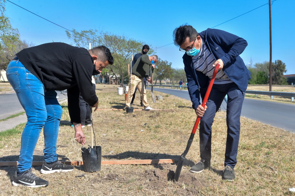 miguelsiciliano's tweet photo. ▶️ Desde la #UEZS, junto con @AmbienteMuniCba y @CPCMuniCba realizamos una nueva jornada de forestación en la zona sur de la ciudad.

✅ Plantamos árboles en veredas y espacios verdes del barrio Olmos Sud, en el marco del plan de remediación que llevamos adelante en la zona. https://t.co/VvfJqUeU5q