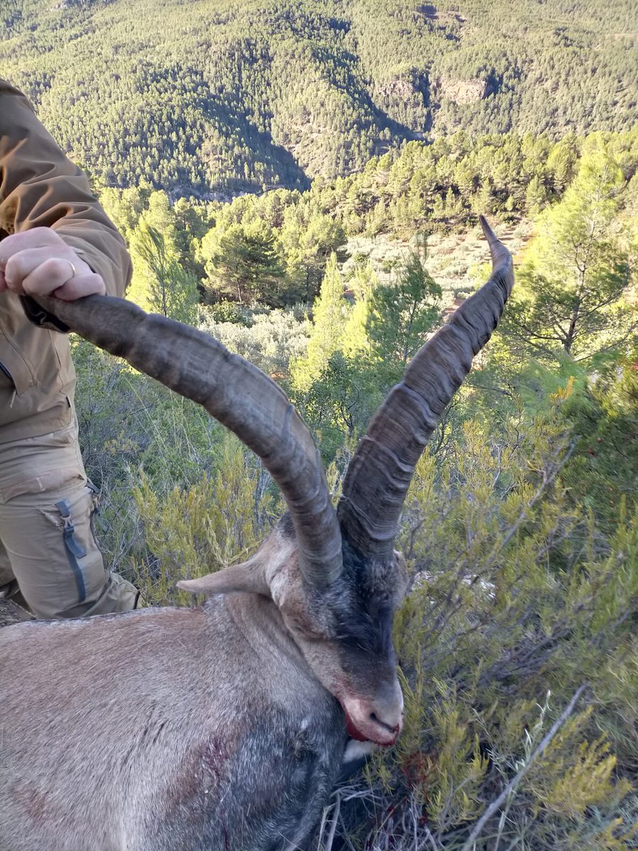 Finalizando, o empezando no se bien una temporada muy rara!!