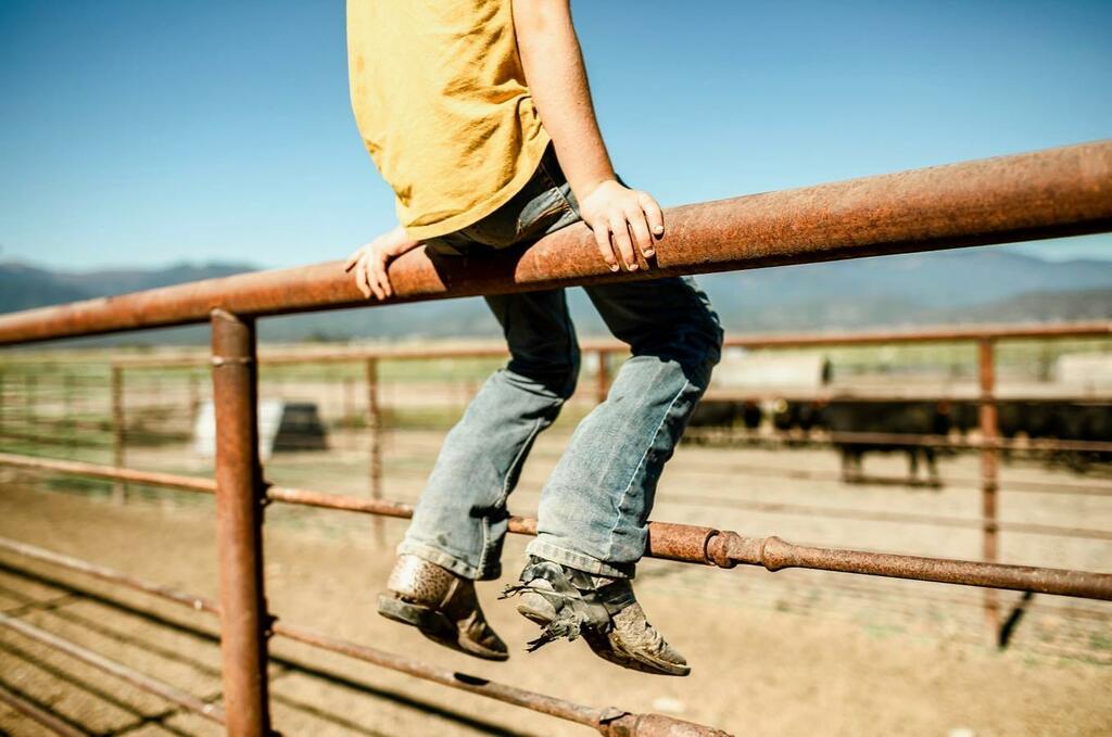 FiveMarys's tweet photo. Ready to take on the weekend... even if our boots are held together with electrical tape. (zoom in, Tess is a little tough on her boots)
.
⭐️⭐️⭐️⭐️⭐️
#tinytess #m5maryteresa #ranchlife #farmlife #cowgirlup #fivemarys https://t.co/mNrIQ69gzA https://t.co/8E6G70FNzs