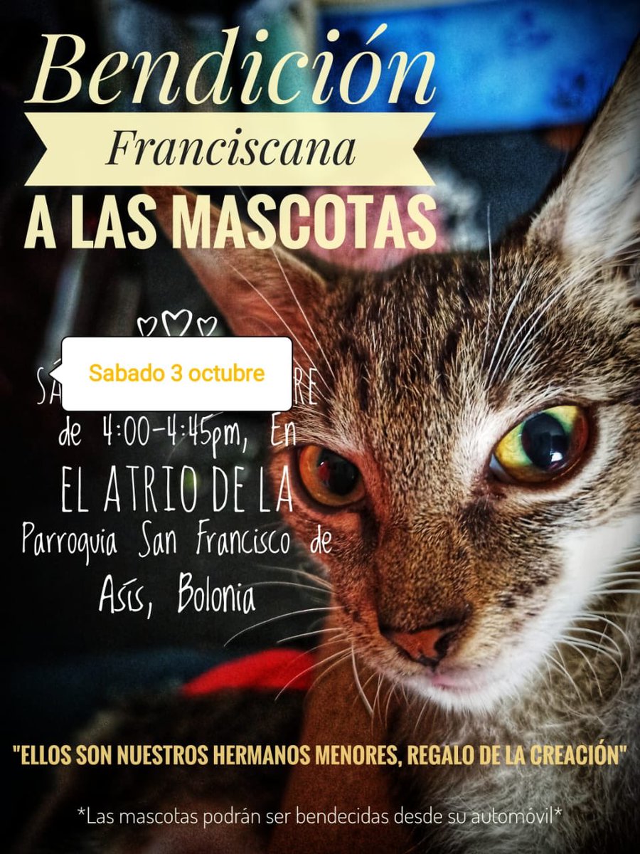 Miguel Mantica (@mmanticac) on Twitter photo 